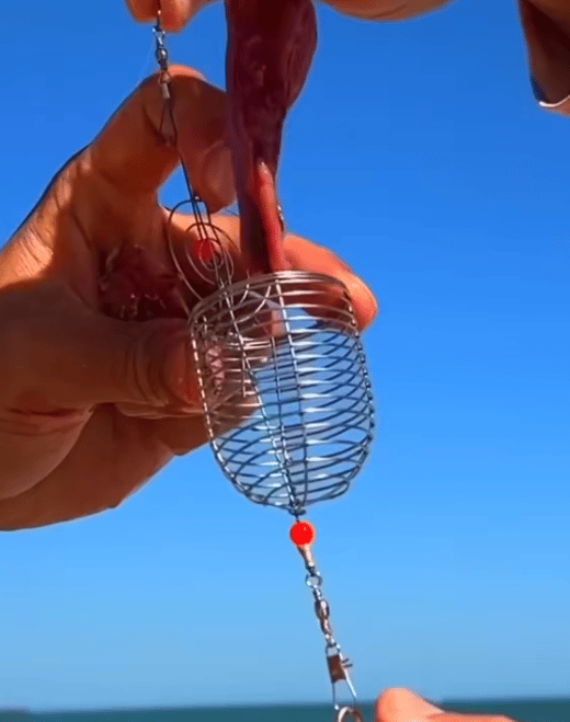 Stainless Steel Fishing Bait Cage Feeder 3-Piece Set – Durable Fish Attracting Rig Attachment