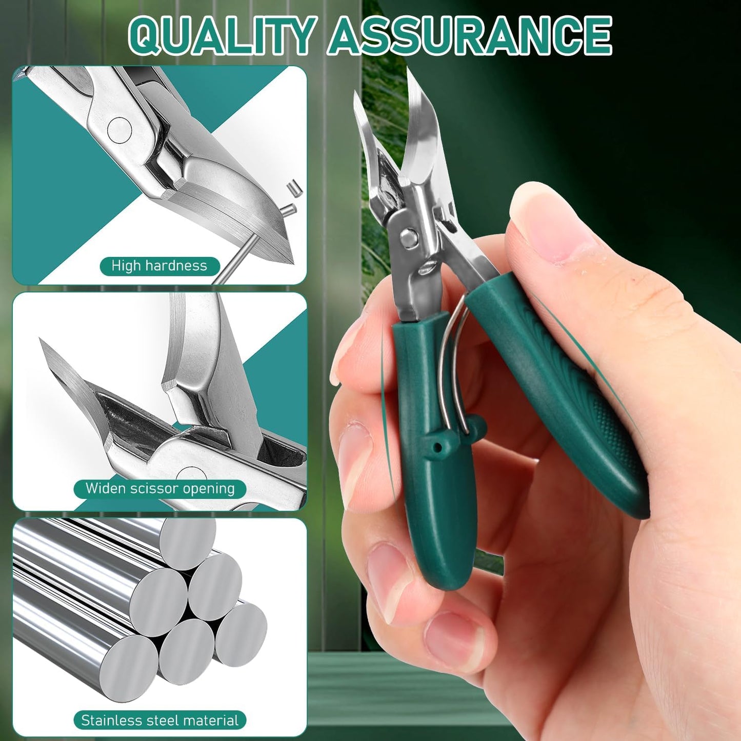 Eagle Beak Beveled Nail Clippers Set