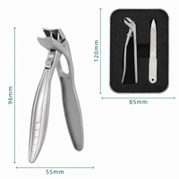Silver(including pointed file + iron box)