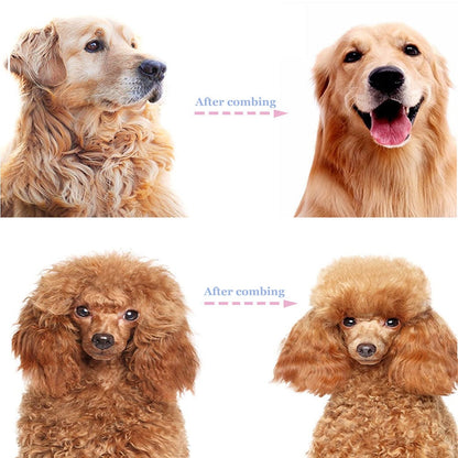 2-in-1 Pet Grooming Rake – Detangle, Deshed & Smooth Fur Easily