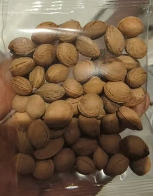 Heirloom Non-GMO Grafted Plum Tree Seeds for Easy Home Growing