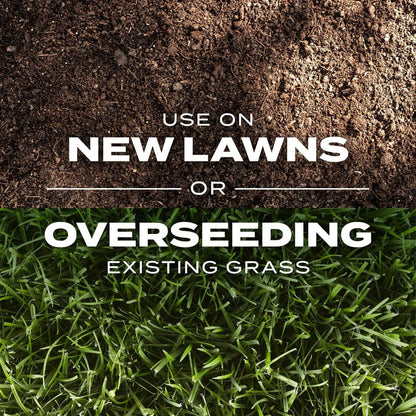 2026 Evergreen Dwarf Grass Seed | For Four Seasons🌱