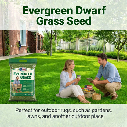 2026 Evergreen Dwarf Grass Seed | For Four Seasons🌱