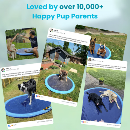 Dog Sprinkler Pad Cooling Summer Pet Toy