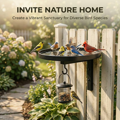 Wall-Mounted Metal Bird Bath with Hanging Hook