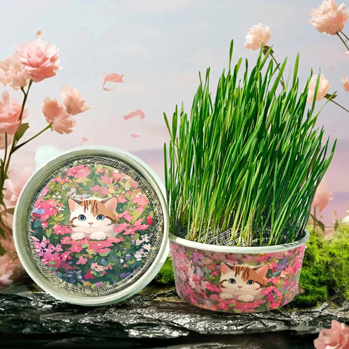 Organic Fast-Growing Indoor Cat Grass